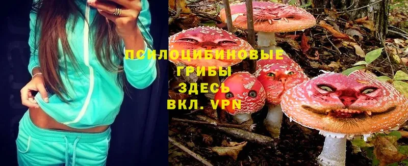 купить наркоту  Сатка  Псилоцибиновые грибы Magic Shrooms 